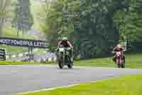 cadwell-no-limits-trackday;cadwell-park;cadwell-park-photographs;cadwell-trackday-photographs;enduro-digital-images;event-digital-images;eventdigitalimages;no-limits-trackdays;peter-wileman-photography;racing-digital-images;trackday-digital-images;trackday-photos